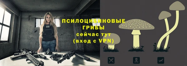 спиды Алзамай