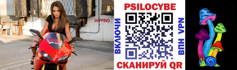 mega как войти  Вологда  Галлюциногенные грибы Cubensis  наркотики 