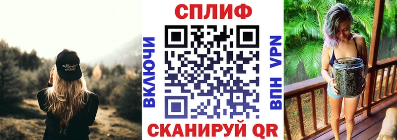 Шишки марихуана сатива  Вологда 